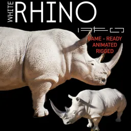 White Rhino Animal