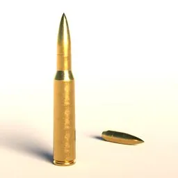 .50 caliber ammunition