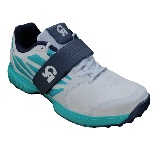 Sports Shoes