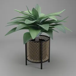 Realistic agave 3D model with detailed foliage in a textured wicker basket, ideal for Blender rendering.