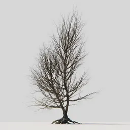 Realistic leafless dry tree 3D model with intricate branches and roots, ideal for Blender renderings.