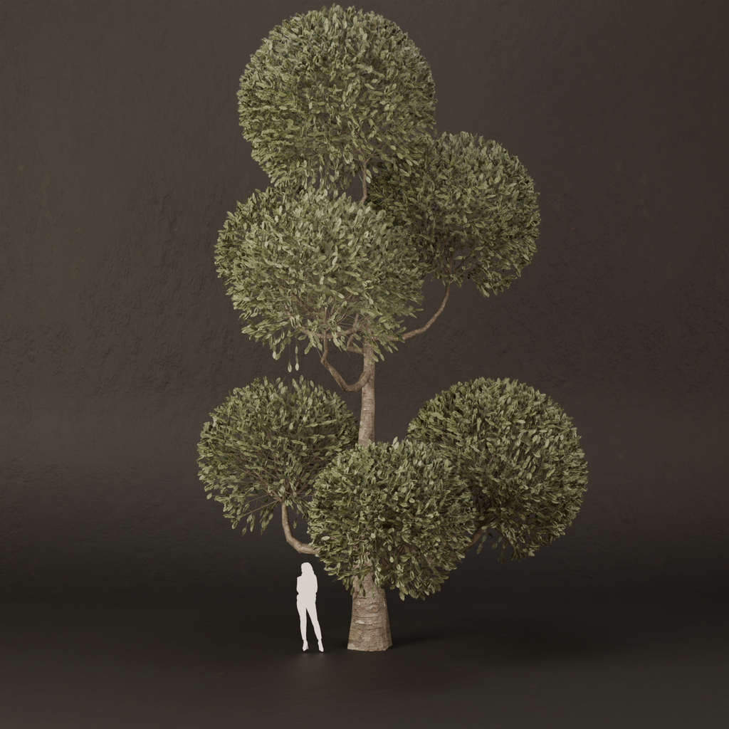 BlenderKit | Download the SJ-Ornamental Tree Stack Peace model