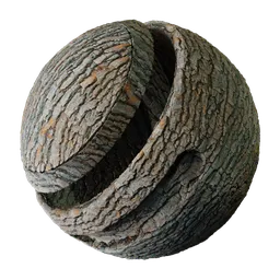 Layered Tree Bark