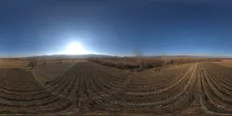 Winter Farm Fields