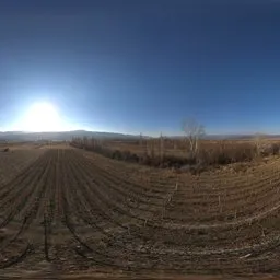 Winter Farm Fields