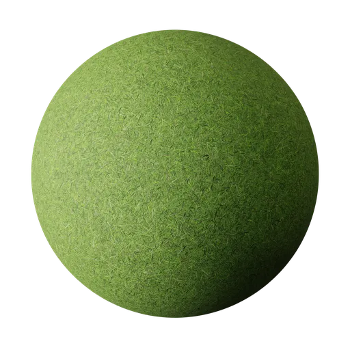 Grass