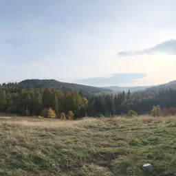 Autumn Hill View