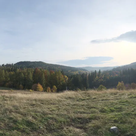 Autumn Hill View