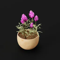 Plant Indian Lotus Pot Sml