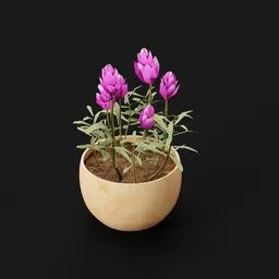 Plant Indian Lotus Pot Sml