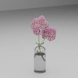 Pink Allium Flowers