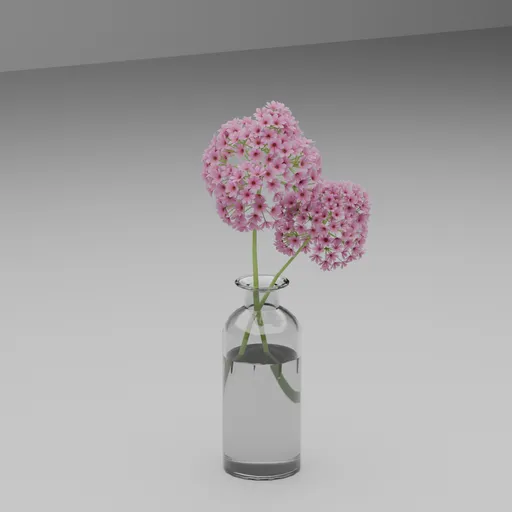 Pink Allium Flowers