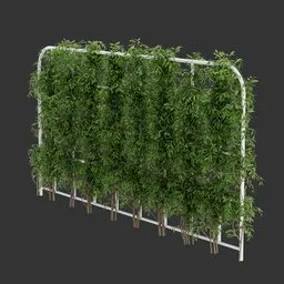 Grid Ivy Simple Plant