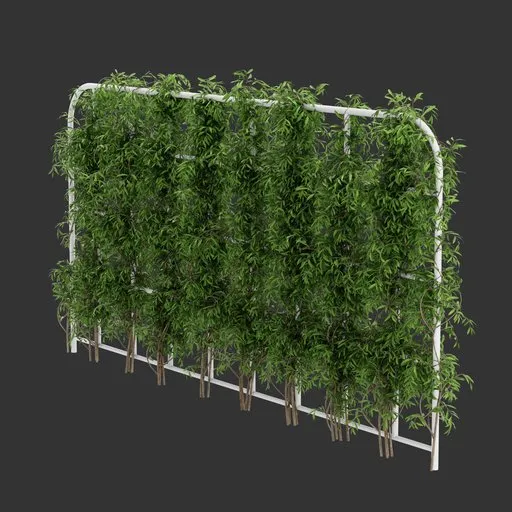 Grid Ivy Simple Plant