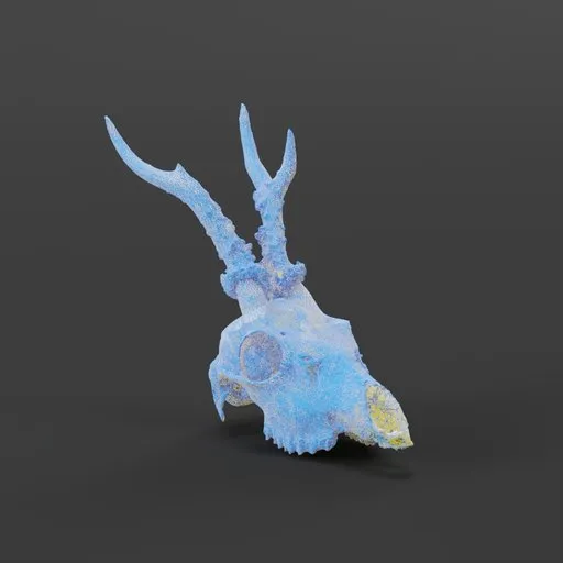 Deer skull