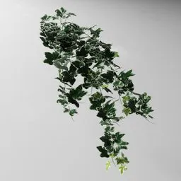 "Artificial Tendril Ivy White-Green v2 3D model for Blender 3D - Nature Indoor category. Inspired by real products and created with Bagapia addon using geometry nodes. Editable in edit mode for custom shapes."