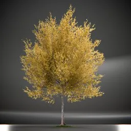 Tree Princeton Sentry Animated