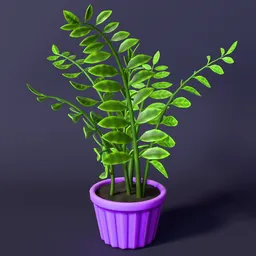 Stylized zamioculcas houseplant