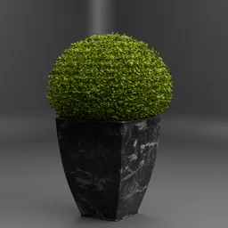 Realistic Topiary Plant in Pot