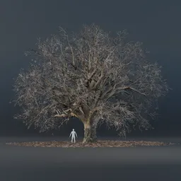 Oak Tree - Wide (Winter)