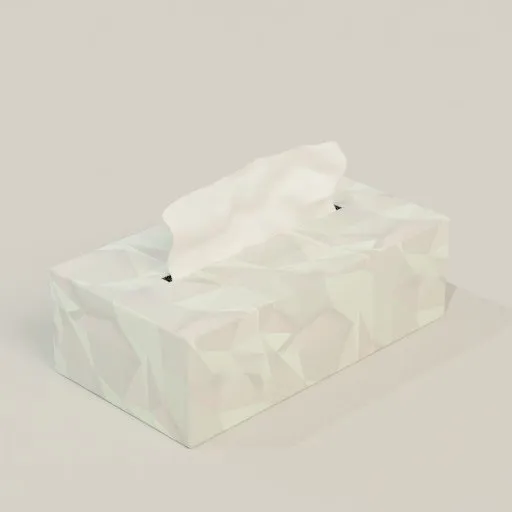 Realistic Blender 3D model of a geometric-style tissue box with one tissue partially pulled out.