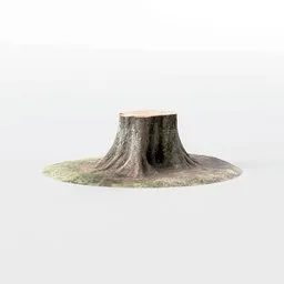 "Get realistic 3D model of a tree stump for Blender 3D with high-quality 2k PBR textures. This low-poly model was created using photoscanning technology and features a realistic effect. Perfect for surreal or neoplastic scenes, or bringing a touch of nature to your park environment."