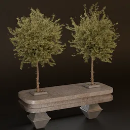 SJ- Silent Branch Base