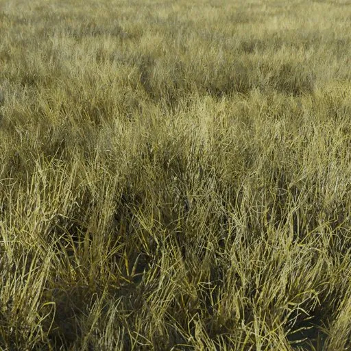 Realistic dry grass 3D model optimized for Blender, perfect for game environments.