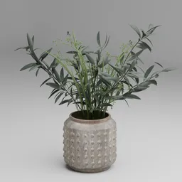 Olive plant pot