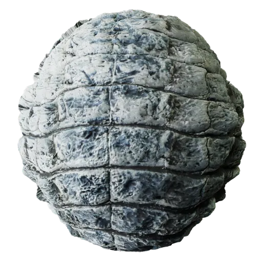 Reptile