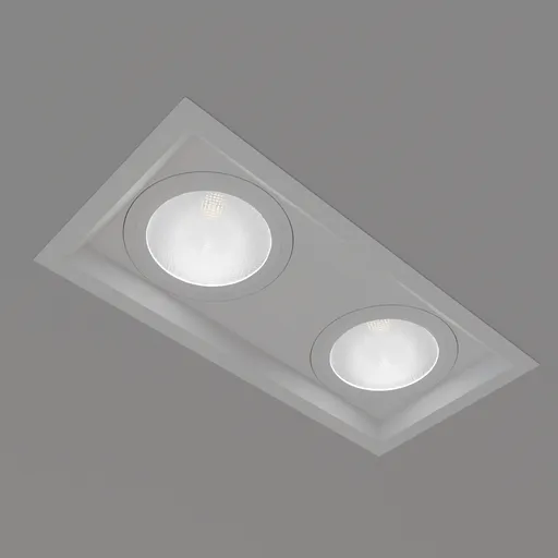 Double spot light