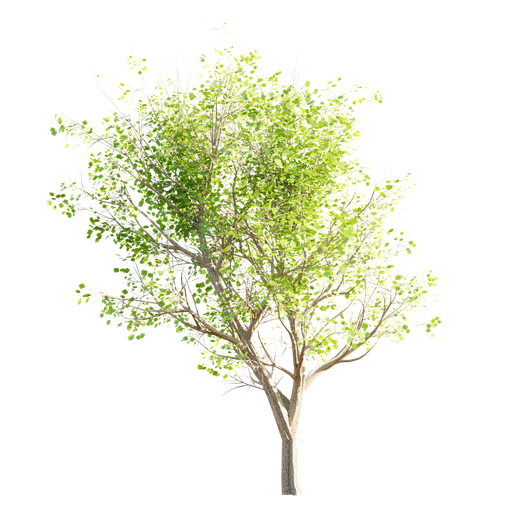 Thumbnail: Tree LOD 1