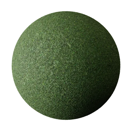 Grass
