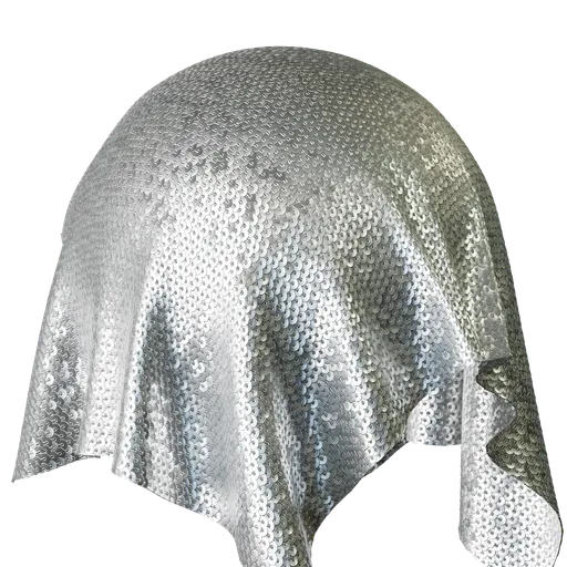 Silver sequins