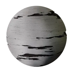 White Birch Tree Bark