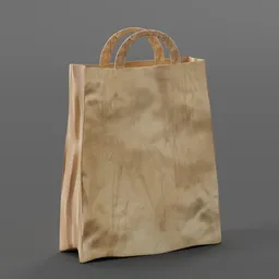 Paper Grocery Bag
