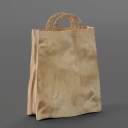 Paper Grocery Bag