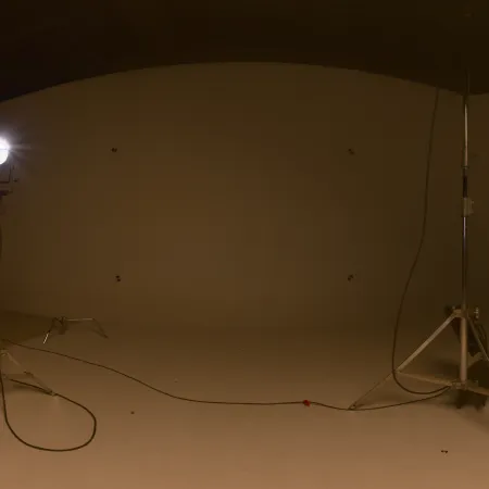 Ferndale Studio