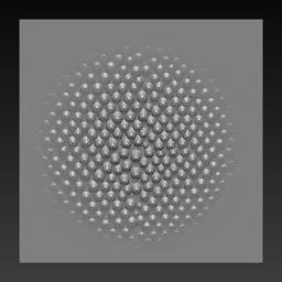 NS Reptile skin scales organized