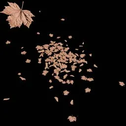 Realistic Autumn Leaf Ground Scatter