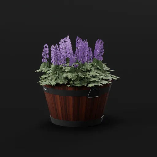 Flower Scarlet Potted