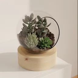 Modern Glass Terrarium with Succulents