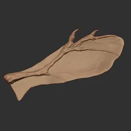 Alien Insect Wing