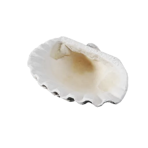 River Shell
