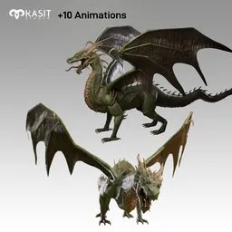 Dragon  Animated