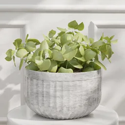Modern Leafy Plant