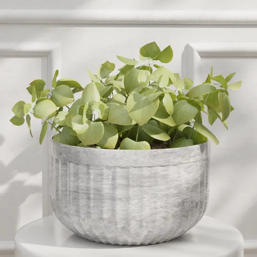Modern Leafy Plant