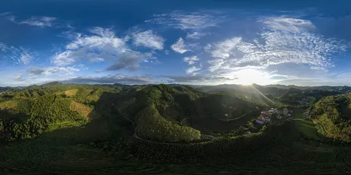 Morning sunlight