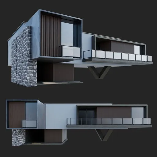 Modern Wooden House