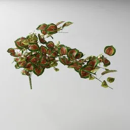 "Artificial tendril vine Basil red v1: nature-inspired 3D model for Blender 3D. Featuring ivy, falling red petals, and leaf details. Created with Bagapia addon and inspired by Per Kirkeby, this clean cel shaded model is perfect for indoor nature scenes."